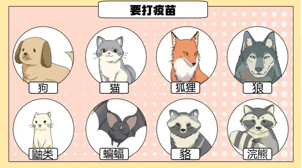 微信图片_20250630110015.png